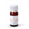 Aceite Protección respiratoria Phyto-V-Protect+ 2 inhaladores 5ml, de Esential'aroms