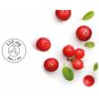 Arándano rojo concentrado 490ml, de Santiveri